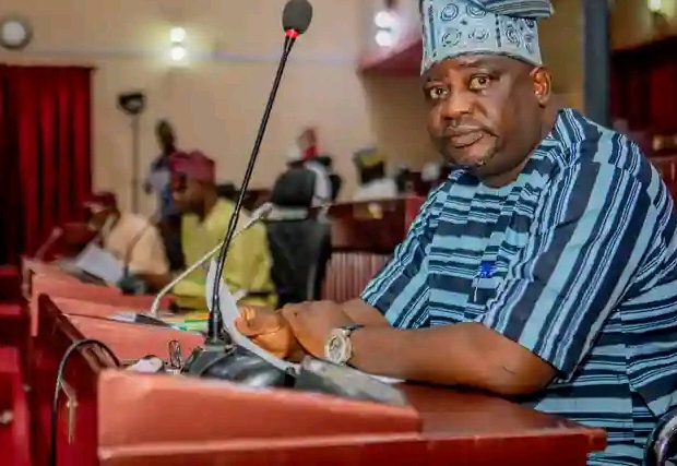 Isese Day: We shouldn’t wait for Oyinbos to start teaching us our language – Oyo Majority Leader 